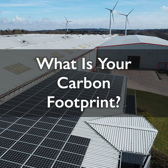 What is your "carbon footprint"?