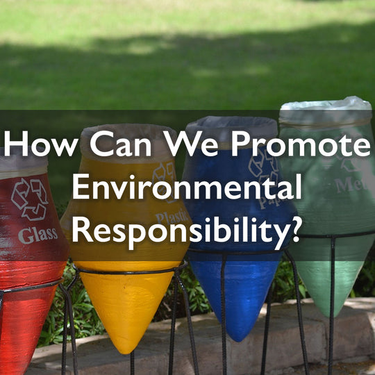 How can we promote Environmental Responsibility?