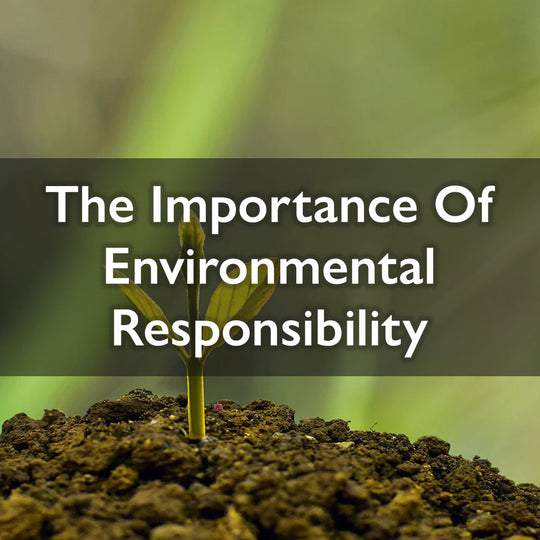 The Importance Of Environmental Responsibility For Businesses