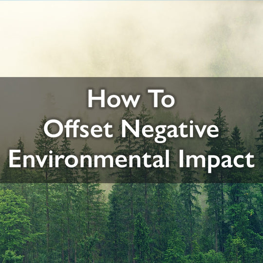 How To Offset Negative Environmental Impact