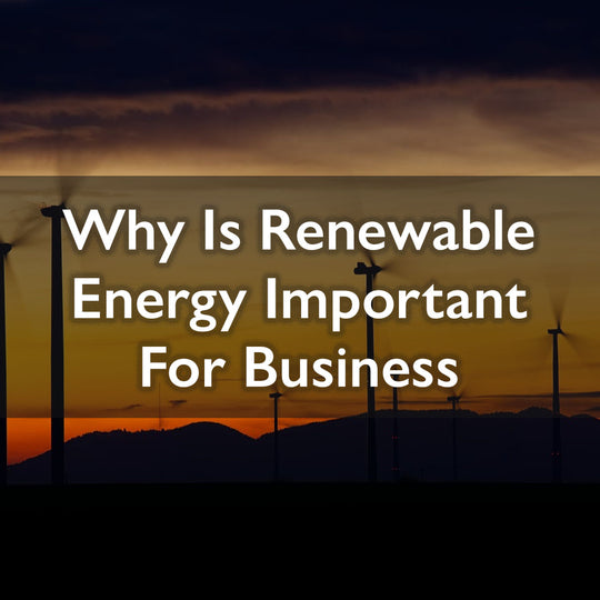 Why is renewable energy important to businesses?