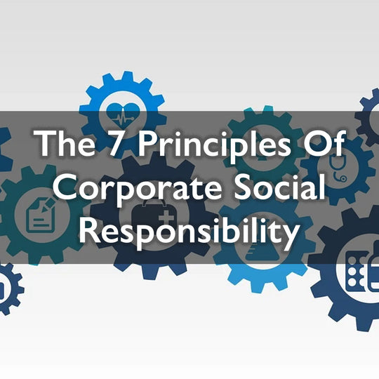 The 7 Principles of Corporate Social Responsibility 